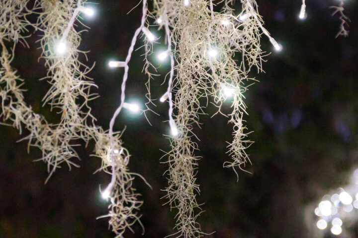 header-hjj-lights