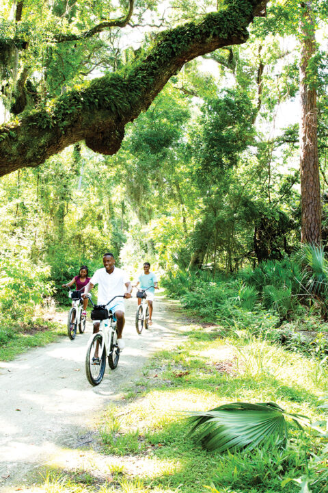 biking-through-forest