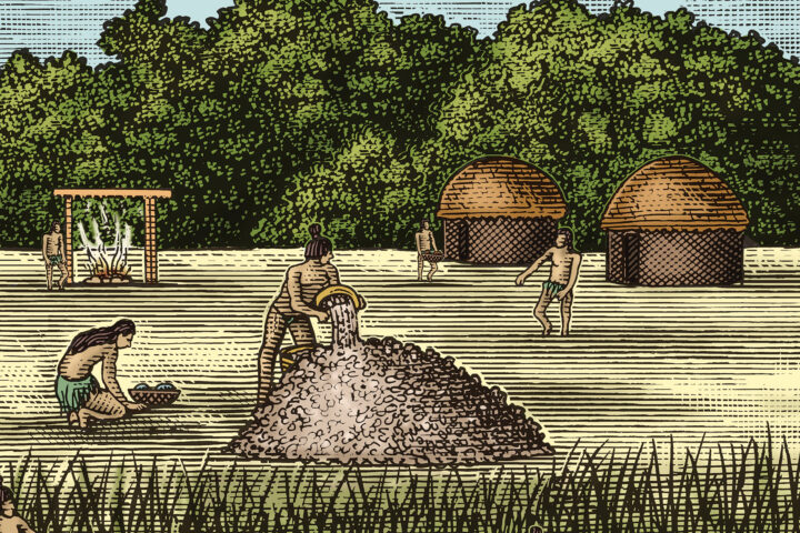 Midden Drawing