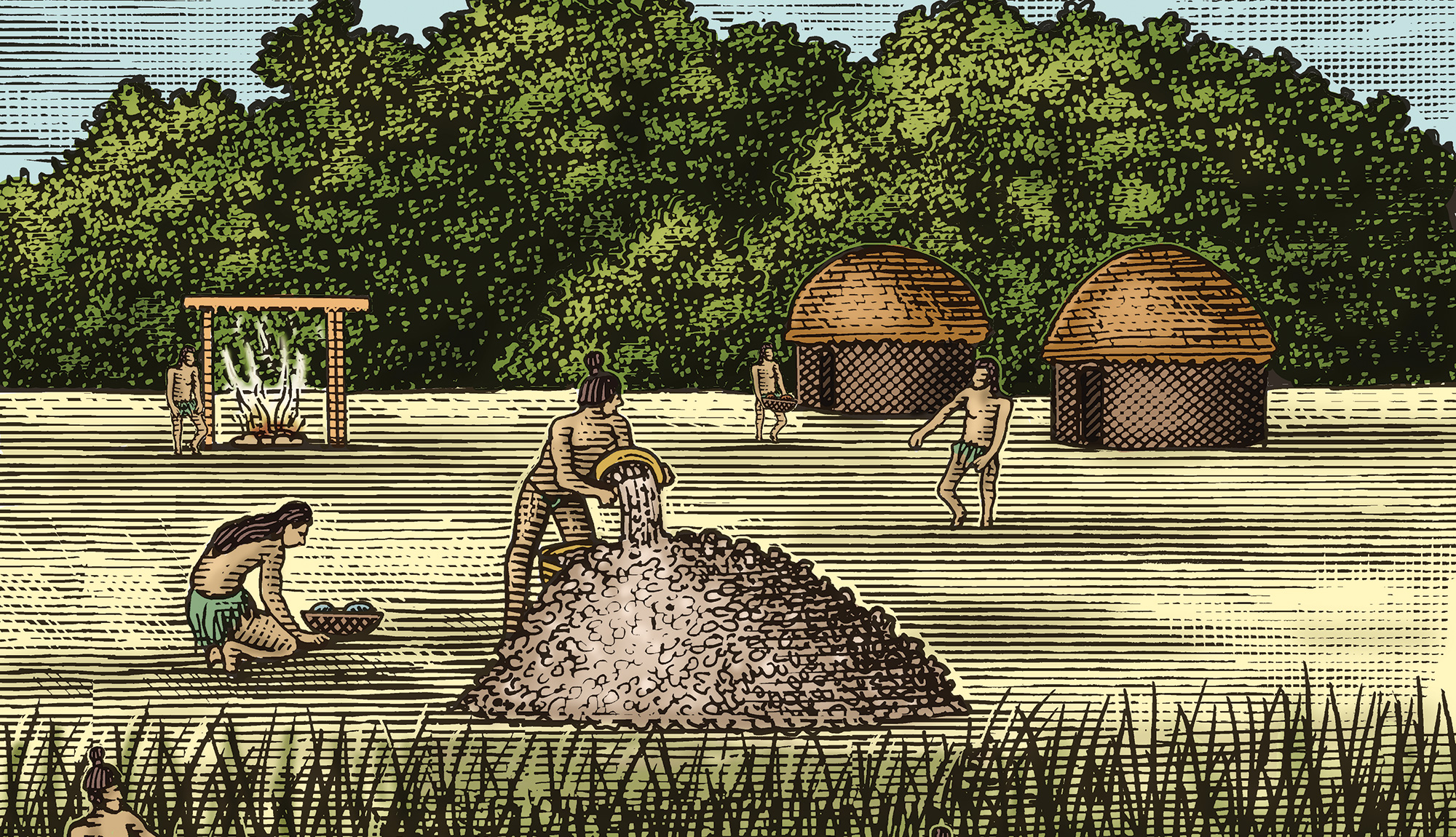 Midden Treasure • Jekyll Island, • Vacation, Conservation, and