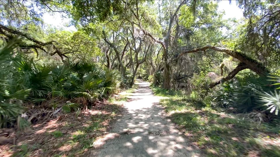 Bike Ride on Jekyll Island