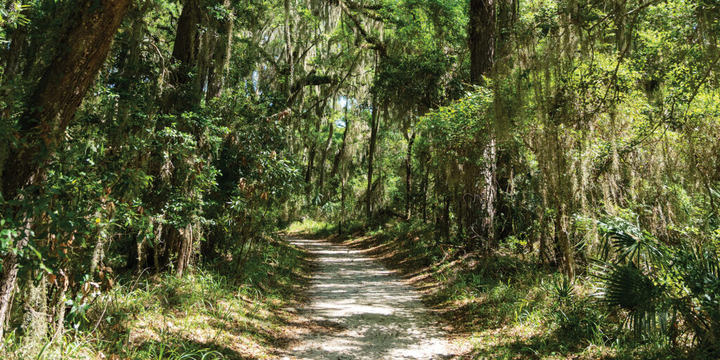 Horton Connector Trail