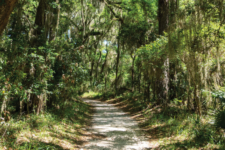 Horton Connector Trail