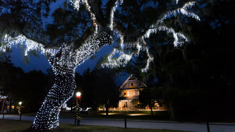 Riverview Drive during Holidays