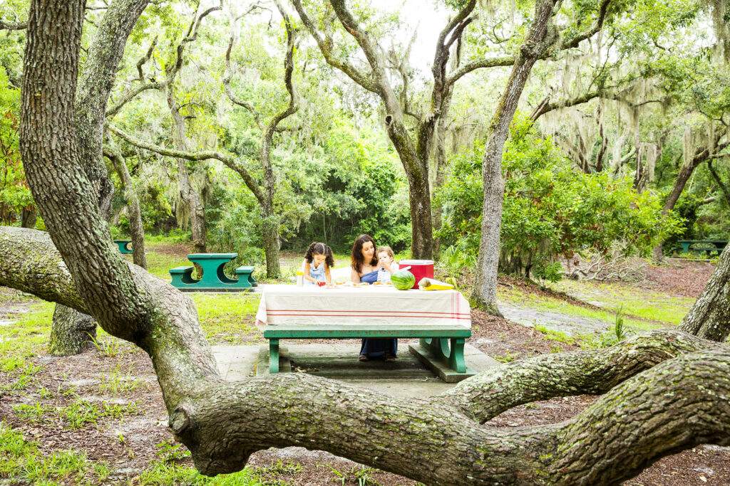 Picnic at South Dunes Beach Park