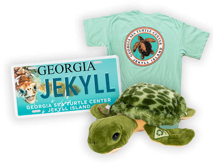 Retail and gifts at the Georgia Sea Turtle Center