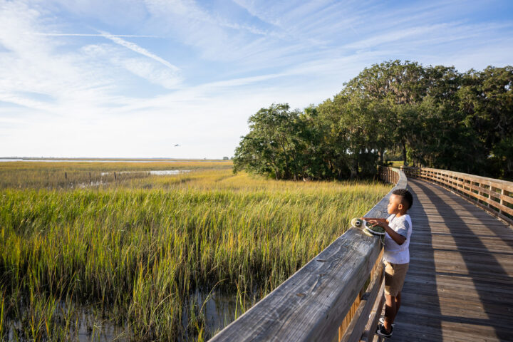 Boy looks over boardwalk at marsh