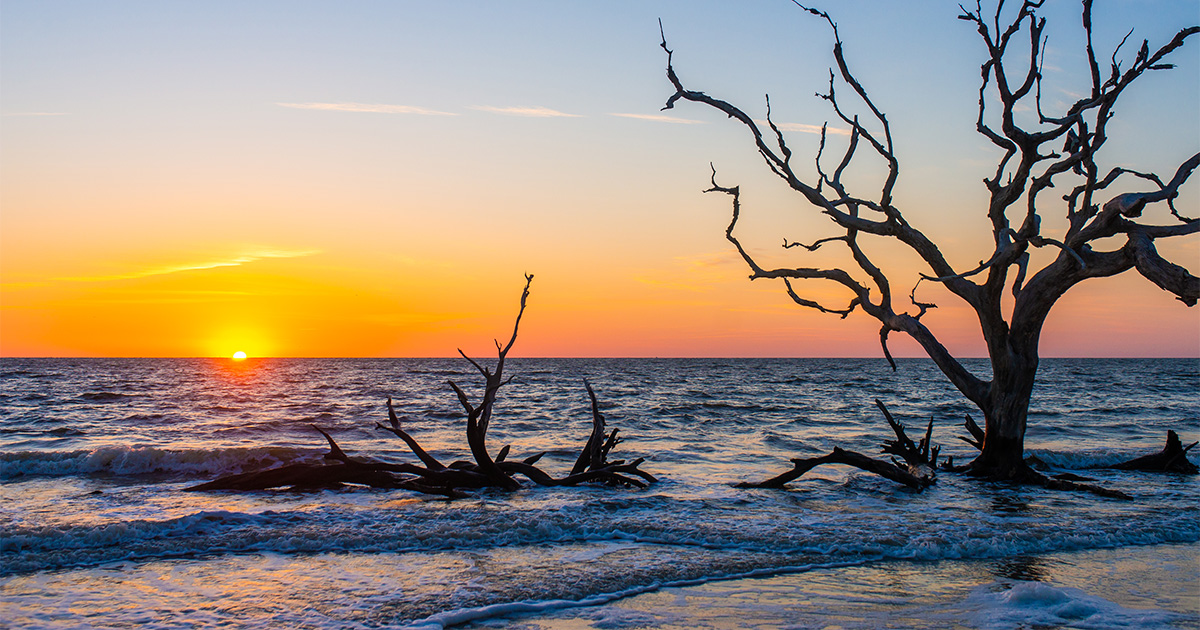 Events for March 30, 2024 Jekyll Island, • Vacation