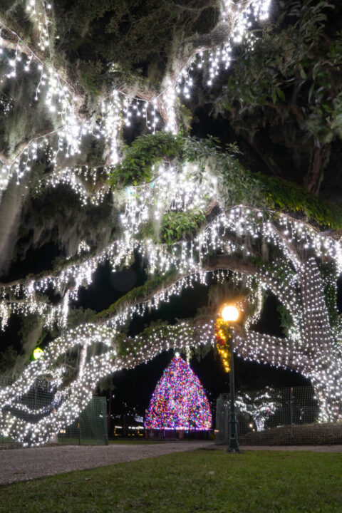 20181126_JIA_Holiday-Decor_DSC00920