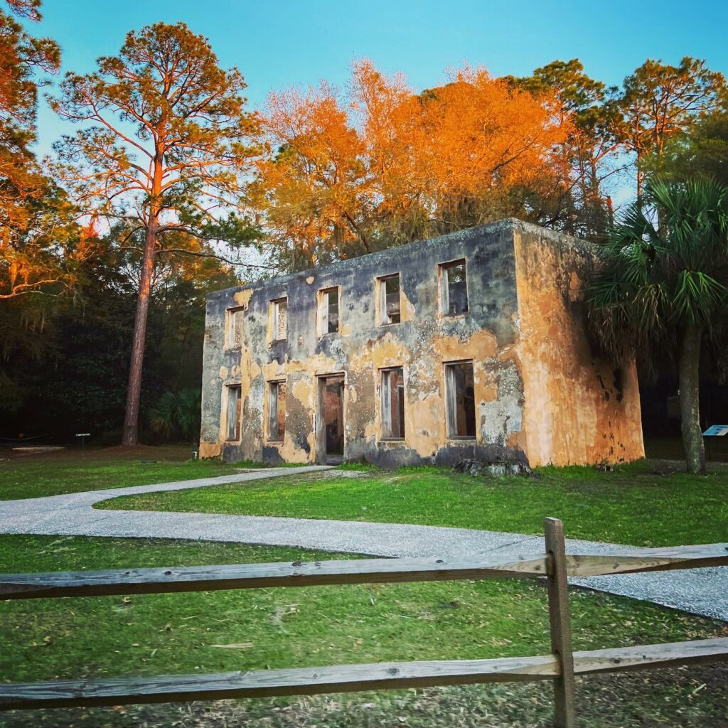 Spanish Moss • Jekyll Island, Georgia • Vacation, Conservation, and  Education Destination