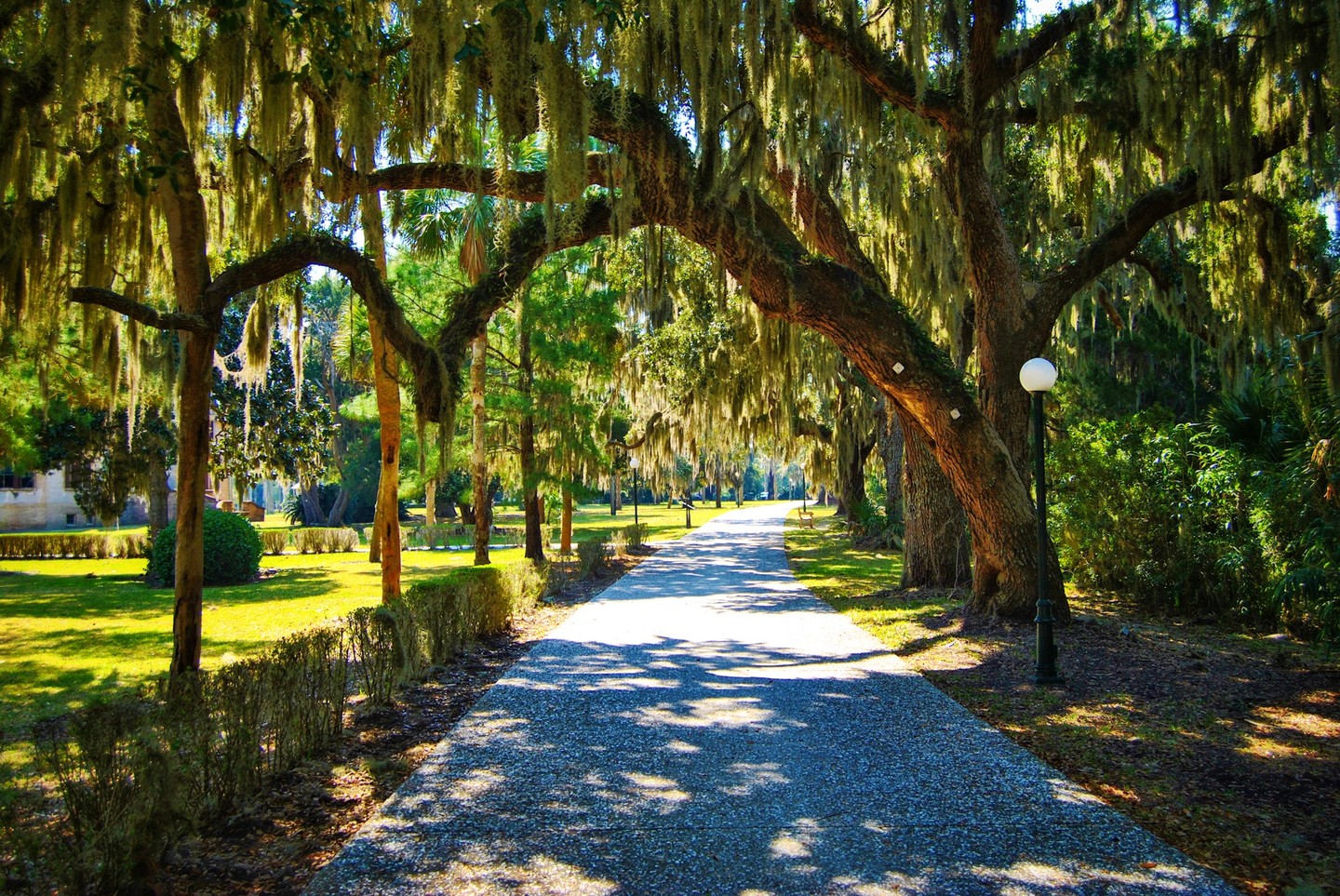 The Ultimate List of PostWorthy Spots on Jekyll Island • Jekyll Island