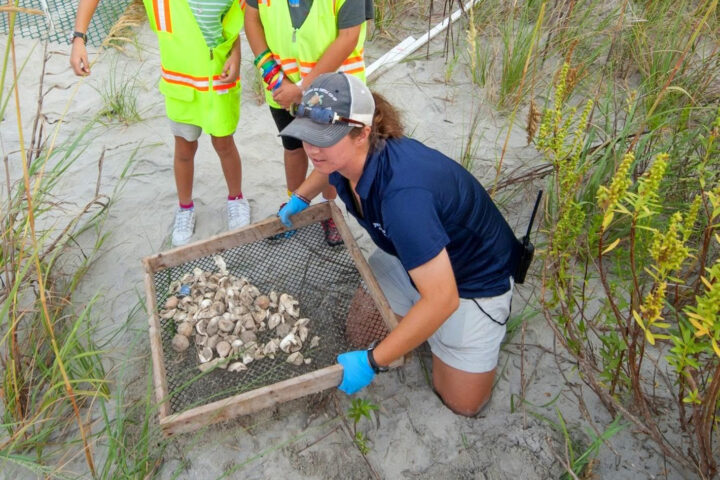 turtle sanctuary tour