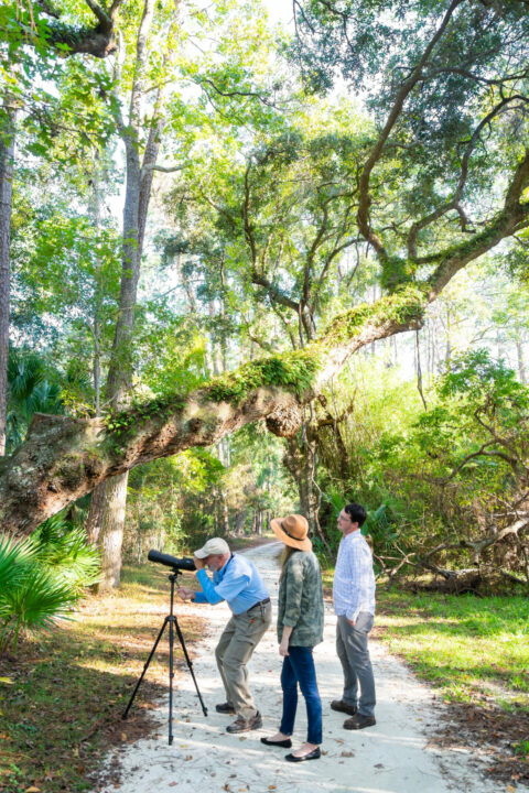 park ranger leads a guided ranger walk
