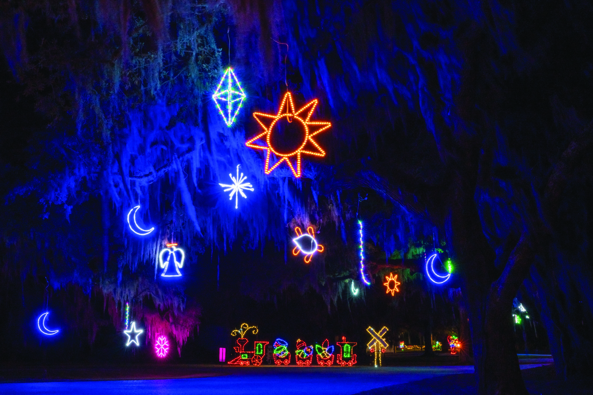 Simply Brilliant • Jekyll Island, Georgia • Vacation, Conservation