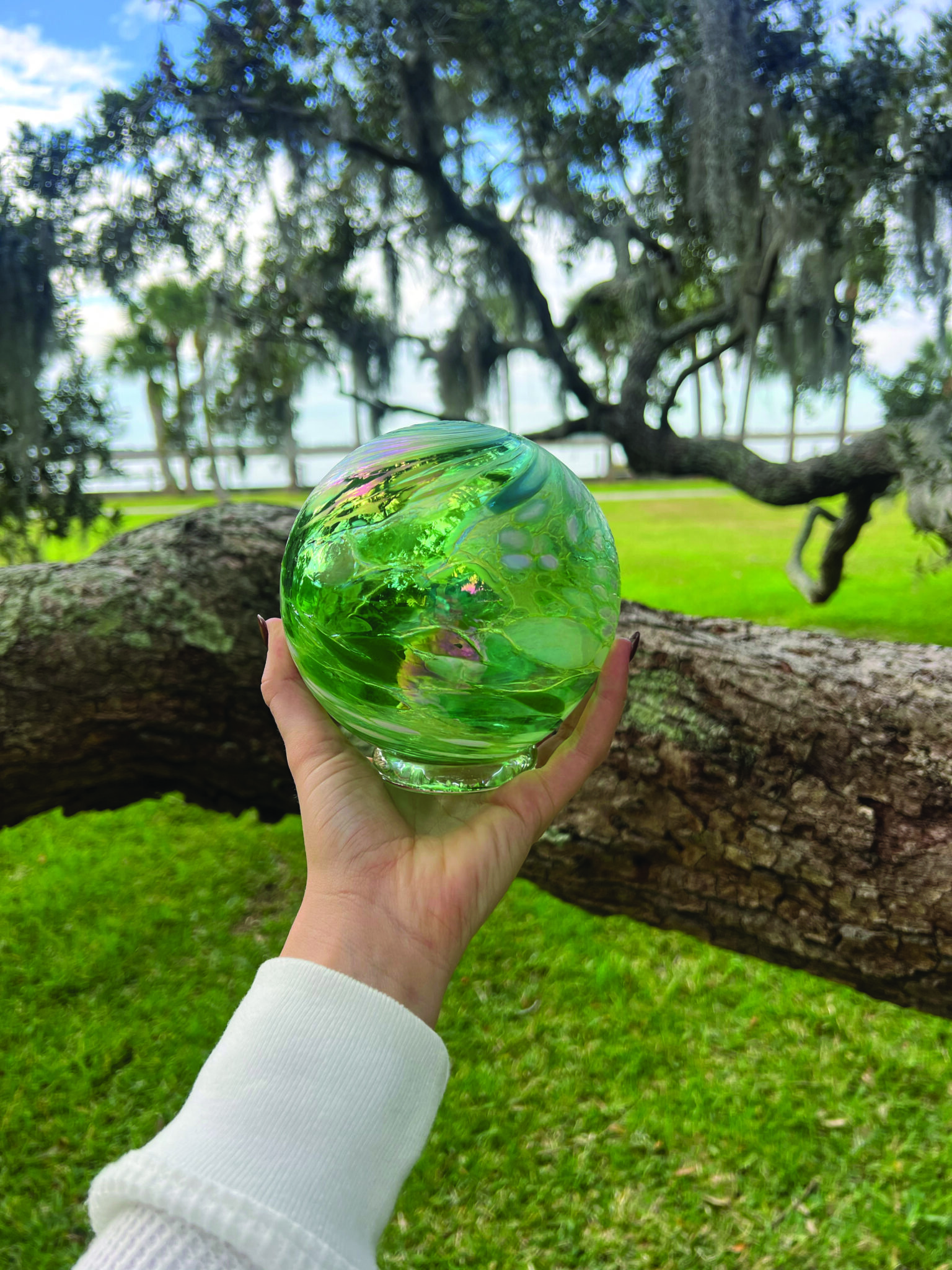 Island Treasures • Jekyll Island, Georgia • Vacation, Conservation